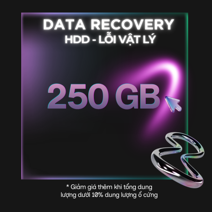 Data Recovery HDD - Lỗi Vật Lý 250GB