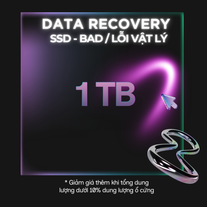 Data Recovery SSD - Bad Sector / Lỗi vật lý 1TB