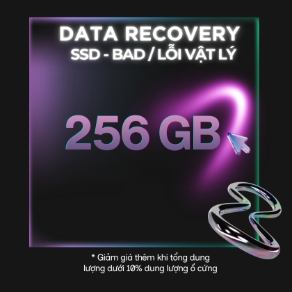 Data Recovery SSD - Bad Sector / Lỗi vật lý 256GB