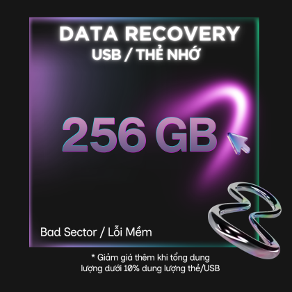 Data Recovery USB / Thẻ Nhớ -  Bad Sector 256 GB