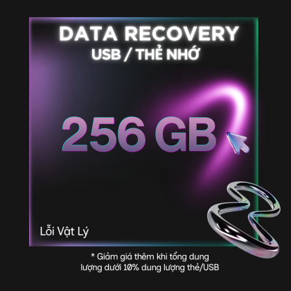 Data Recovery USB / Thẻ Nhớ - Lỗi Vật Lý 256 GB